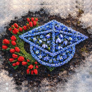 Логотип @mrtk_professionalitet - Региональный технический колледж в г.Мирном