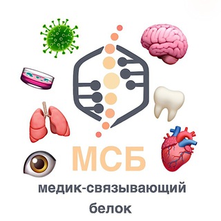 Логотип @msbmedik - МСБ для своих❤️