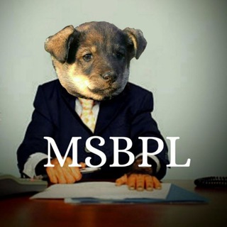 Логотип @msbpl - MSBPL𓃟
