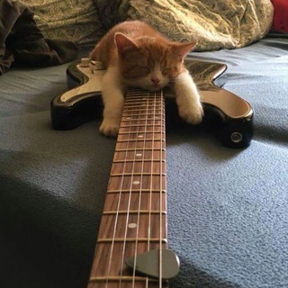 Логотип @mscfrmdrk - décadent.