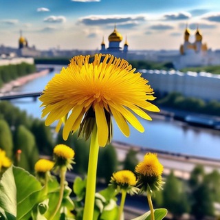 Логотип @msk_vstr - Москва. Живые встречи канал