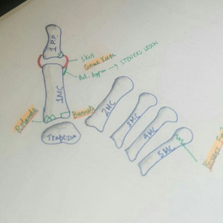 Логотип @mskquizmzeba - MSK Radiology Quizes by MZeba