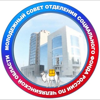 Логотип @msosfrchelobl - Молодежный Совет Отделения СФР по Челябинской области