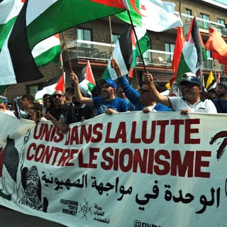 Логотип @mtlpalestineactionnetwork - MTL Palestine Action Network