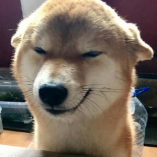 Логотип @muaxaxax - МУАХАХА