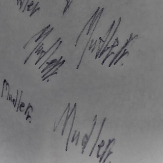 Логотип @mudlerrr - Mudlerr.