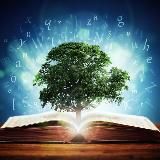 Мудрые строки