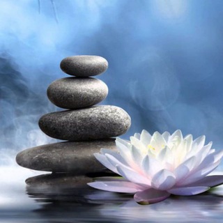 Логотип @mudr_web - Мудрость | Афоризмы | Цитаты