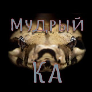 Логотип @mudrij_ka - Мудрый Ка | Задачки | Головоломки