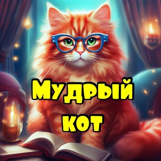 Логотип @mudriy_cat - Мудрый кот