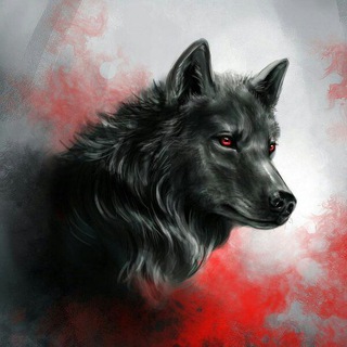 Логотип @mudrost_volka - Мудрость волка