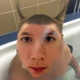 Логотип @mudyamedvedya - Медвежья будка