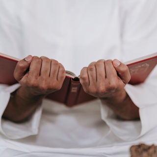 Логотип @mufid_vse_poleznoye - "Муфи́д"-страница о полезном.