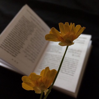 Логотип @muhariiiibun - 𝐦𝐮𝐡𝐚𝐫𝐢𝐛𝐮𝐧