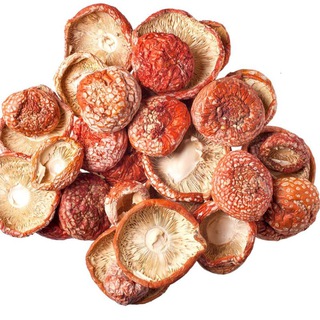 Логотип @muhomor52 - 🍄Мухомор52 🍄