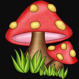 Логотип @muhomor_club - Мухоморы/Amanita/Микродозинг