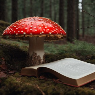 Логотип @muhomorbezcenzuti_otzblvbl - 🍄Отзывы 🍄МУХОМОР БЕЗ ЦЕНЗУРЫ