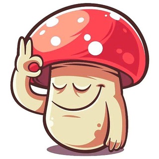 Логотип @muhomordoz - Мухомор DOZ 🍄