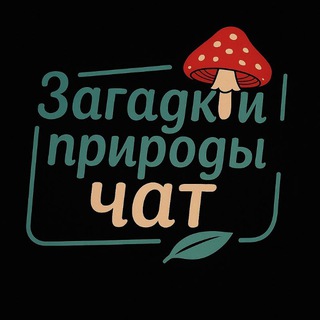 Логотип @muhomorizmenisebya - ЗАГАДКИ ПРИРОДЫ / 📩 ЧАТ/ ЕЖОВИК | КОРДИЦЕПС | ЛИСИЧКА | ЧАГА БЕРЕЗОВАЯ