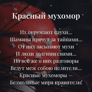 Логотип @muhomorlecove4ka - Muhomor Lecove4ka