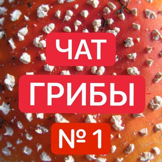 Логотип @muhomorspace_chat - №1 Muhomorspace.ru ГРИБОЕДЫ Чат - Мухоморы 🍄🍄🍄 16 + ГРИБНИКИ пантерный ежовик кордицепс мака перуанская мукуна бады здоровье йог