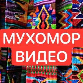 Логотип @muhomorspacevideo - MUHOMORSPACE Video мухоморы видео ответы