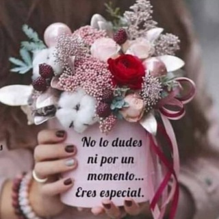 Логотип @mujeres_virtuosas - Mujeres virtuosas en acción