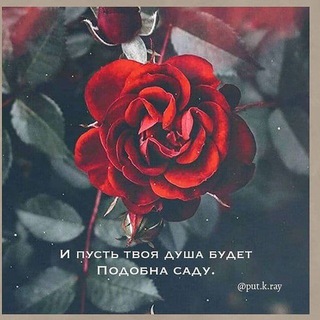 Логотип @mull3mp3 - x.a.l.l.i.v.u.d.o1