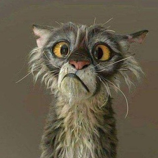 Логотип @multikdg - Всяко разно