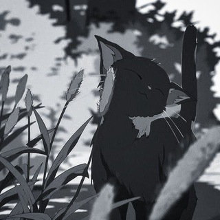 Логотип @mumulots - quiᴇᴛ rᴏᴏʍ | ʙᴄᴛуᴨᴧᴇниᴇ ʙ ᴩᴨ и нᴏʙᴏᴄᴛи ⊹ . ˙