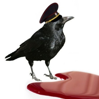 Логотип @murder_rus - Убийственная Россия ᴴᴰ