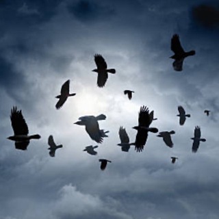 Логотип @murdergram - 😨𝕄𝕌ℝ𝔻𝔼ℝ𝔾ℝ𝔸𝕄☠️