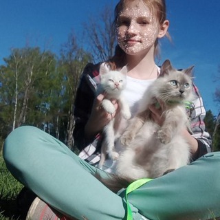 Логотип @murka_zizip - 🎀🪐𝗪𝗶𝗻𝘁𝗲𝗿_𝗠𝘂𝗿𝗼𝗰𝗵𝗸𝗮🪐🎀