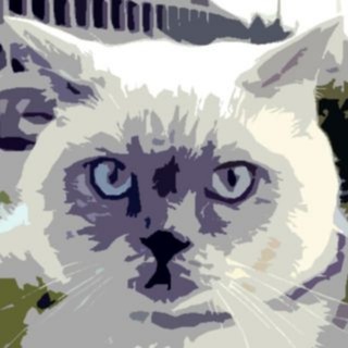 Логотип @murkotiki - Муркотики: всё о кошках