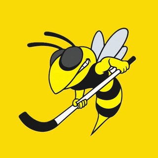 Логотип @murmanbandy - Murmanbandy🏑Мурманбенди