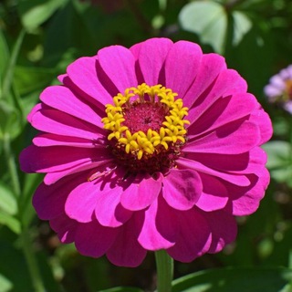 Логотип @murmaris0770 - Murmaris