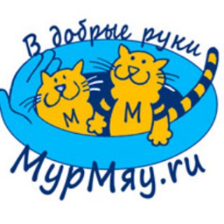 Логотип @murmyauru - Бездомные кошки ищут дом