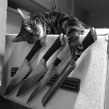 Логотип @murrrka18 - 🍒МУРКА🍒