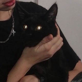 Логотип @murrrworld - ℳႮℛℛℛ💗