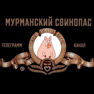 Логотип @mursvinopas - Мурманский свинопас