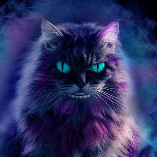 Логотип @murzillotv - murzilloTV