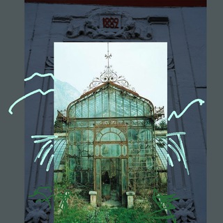 Логотип @museodom - MuseoDom