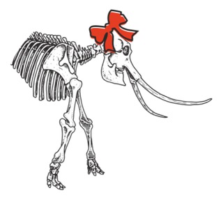 Логотип @museum_for_people - А где мамонт? | Новосибирский Краеведческий музей