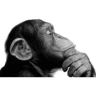 Логотип @museum_thinking - Музейное мышление