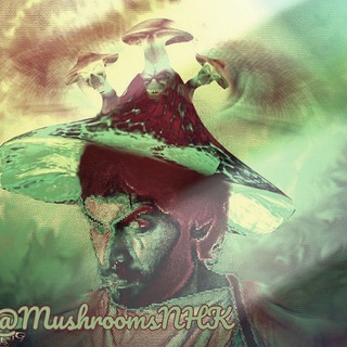 Логотип @mushroomsnhk_chat - Чат Грибоедов