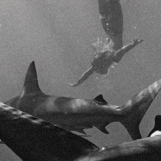 Логотип @music77766 - 𝑫𝑶𝑳𝑩𝑰𝑻 𝑵𝑶𝑹𝑴𝑨𝑳'𝑵𝑶🦇