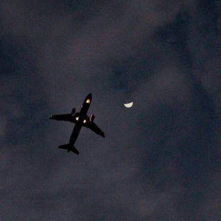 Логотип @music_0598 - TOPMUZIC