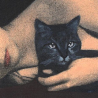 Логотип @music_chan9 - MUSIC_VR