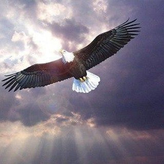 Логотип @music_high_vibrations - Музыка в ритме кайфа