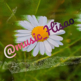 Логотип @music_hisao - 🌷 Spring Music Room 🌥